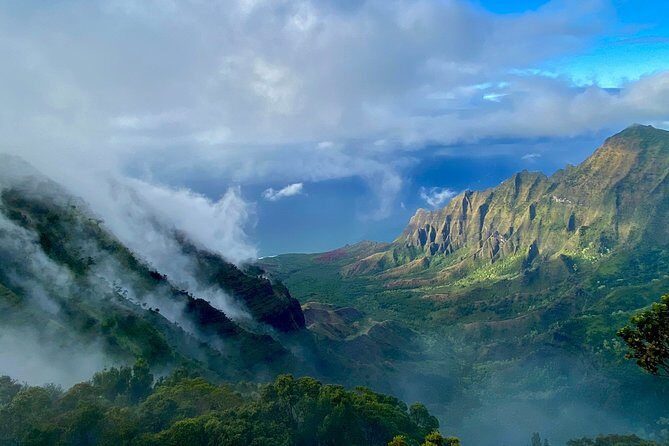 Waimea Canyon Downhill Bike Ride - What Travelers Say
