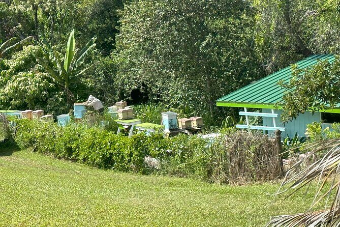 Waipio on Horseback: Mountain Ocean Views Working Cattle Ranch - Key Points