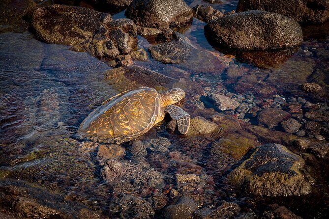 Waipio Valley, Hilo Waterfalls, Volcano and Black Sand Beach - FAQ