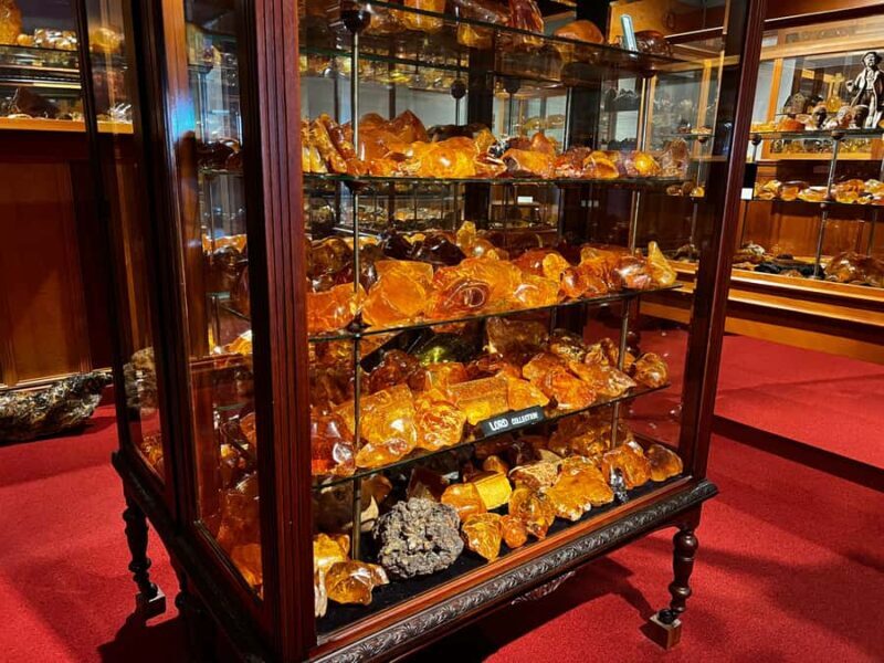 Waipoua KAURI Forest, Tane Mahuta & Museum Tour Ex Auckland - Authentic Traveler Perspectives