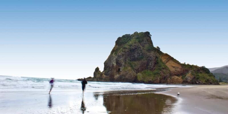 Waitakere Ranges Wilderness Experience Tour from Auckland - A Taste of New Zealand’s Wilderness in Auckland