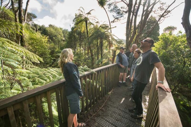 Waitakere Ranges Wilderness Experience Tour from Auckland - Who Will Love This Tour