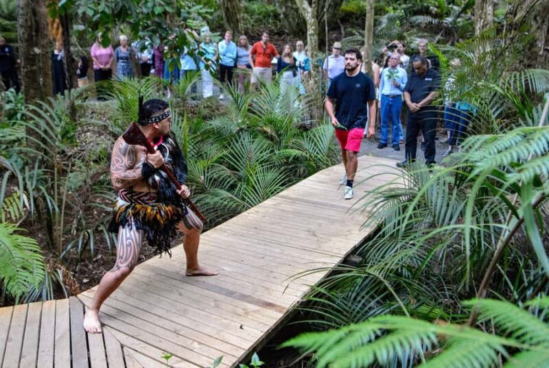 Waitangi: Treaty Grounds Hng and Concert Combo Pass - Key Points