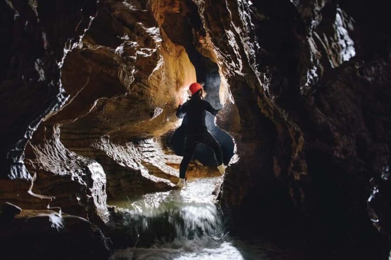 Waitomo Caves Black Abyss Ultimate Caving Experience - Key Points
