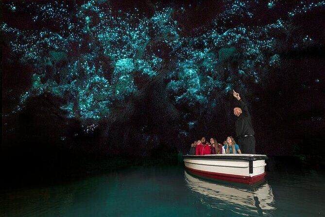 Waitomo Glow Worm Caves - An Overview of What to Expect