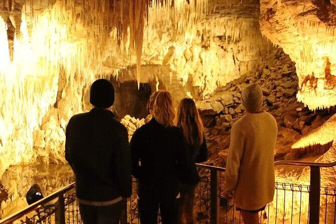 Waitomo Glow Worm Caves - Who Is This Tour Best For?