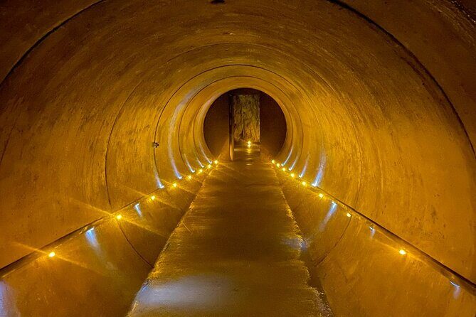 Waitomo Glowworm Caves and Kiwi House Small Group from Auckland - An In-Depth Look at the Tour Experience