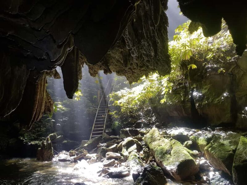 Waitomo: Guided Eco-Cave Tour - Key Points