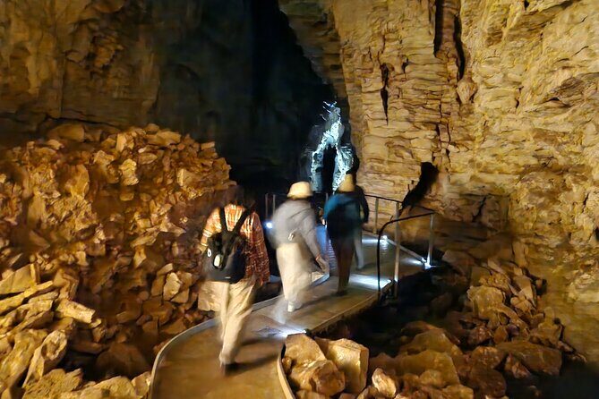 Waitomo Spellbound Glowworm Caves Small Group Tour from Auckland - The Experience: What to Expect from the Tour