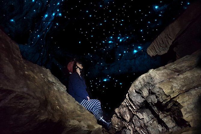 Waitomos Hidden Gem: Small-Group Off the Beaten Track Tour - Exploring the Rugged Side of Waitomo