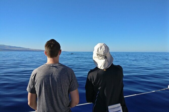 Wake Up With the Whales Cruise from Anaeho'omalu Bay - Booking and Practical Details