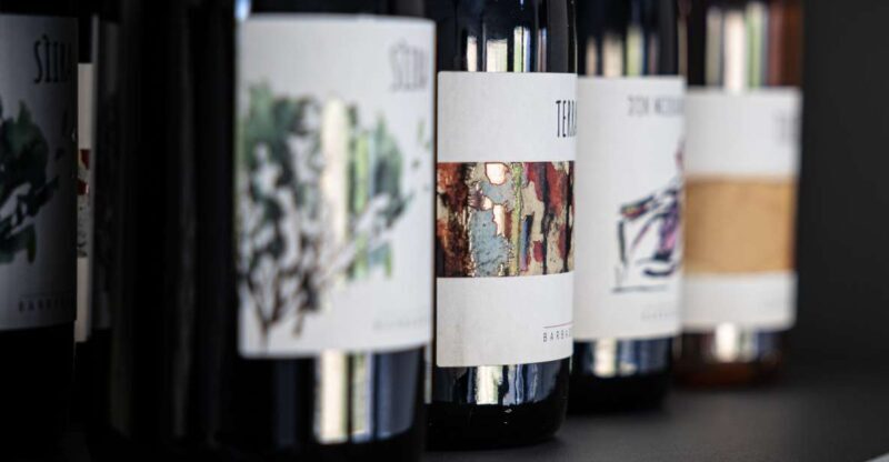 Walk among the rows of vineyards and wine tasting - Key Points