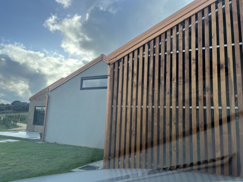 Walk among the rows of vineyards and wine tasting - Discovering the Barbadoro Vineyard: What to Expect