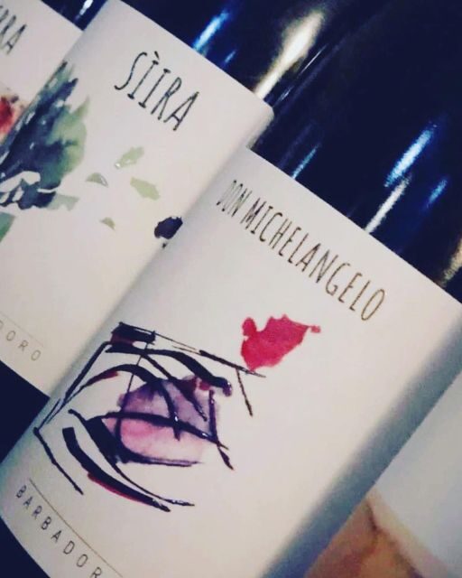 Walk among the rows of vineyards and wine tasting - Who Will Love This Experience?