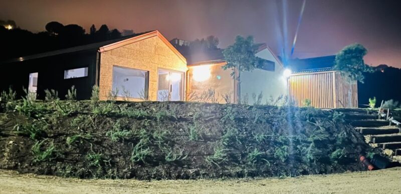 Walk among the rows of vineyards and wine tasting - The Sum Up