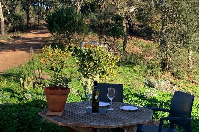 Walk in the Hills with Goat Herder-Local Honey, Wine and Cheese Tasting - An Authentic Walk through Portuguese Hills
