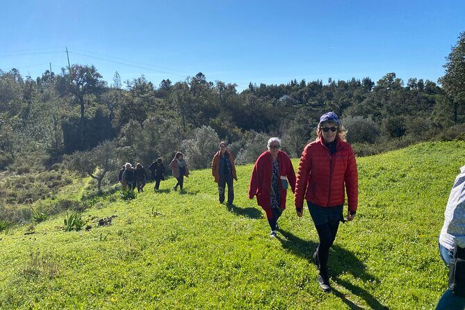 Walk in the Hills with Goat Herder-Local Honey, Wine and Cheese Tasting - The Sum Up