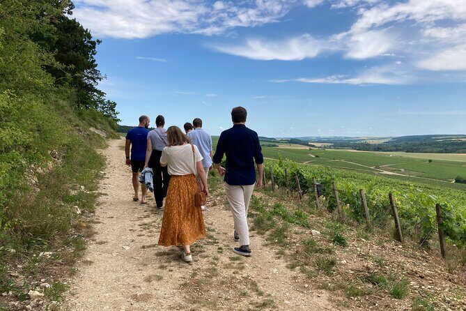 Walk in the vineyards of Chablis Grands Crus - Key Points