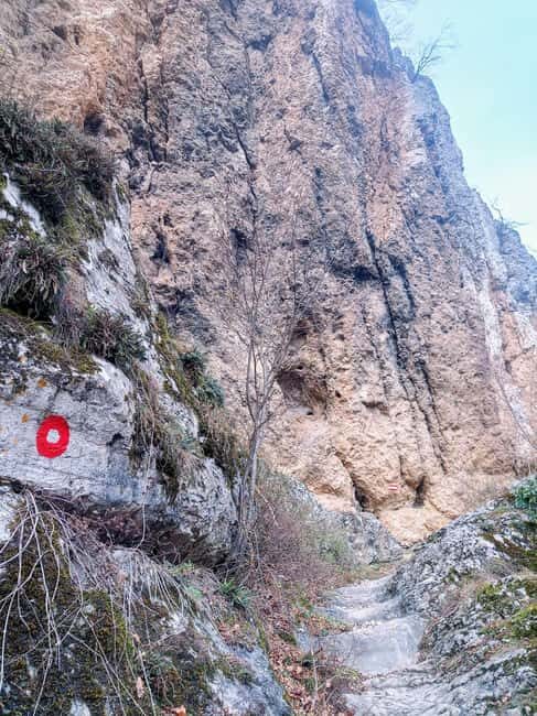 Walk the Bobovac Royal Paths and Ruins & Kraljeva Sutjeska - Exploring Bobovac: More Than Just Ruins