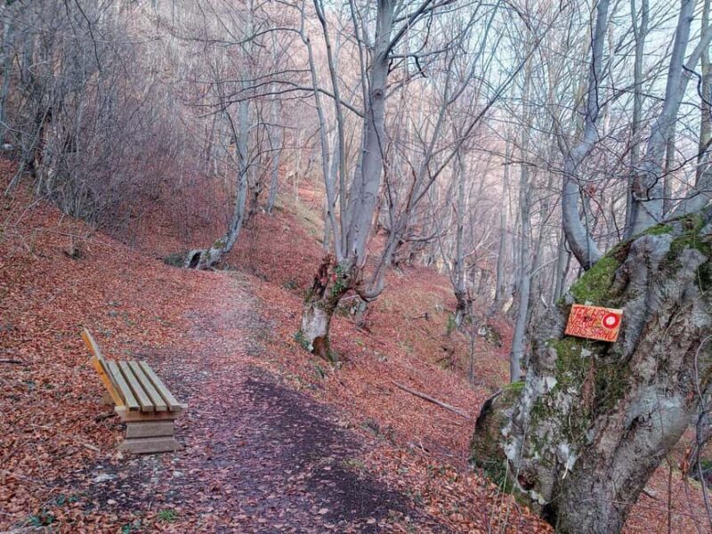 Walk the Bobovac Royal Paths and Ruins & Kraljeva Sutjeska - FAQs