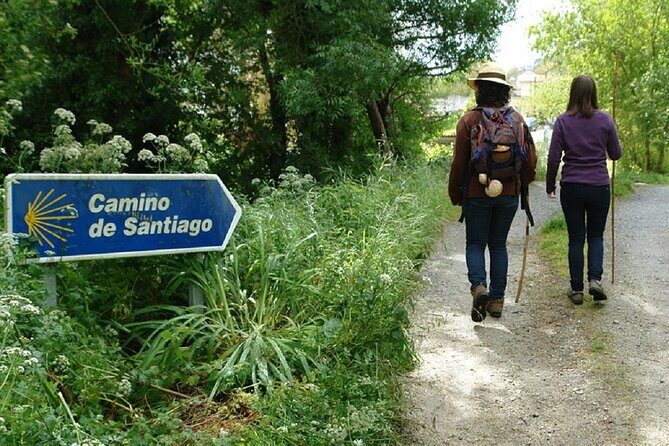 Walk The Camino&Santiago de Compostela Private SHORE Tour - Who Should Consider This Tour?