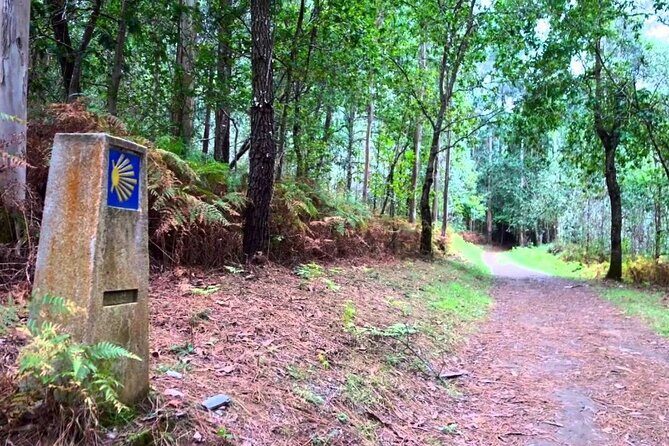 Walk The Camino&Santiago de Compostela Private SHORE Tour - FAQ