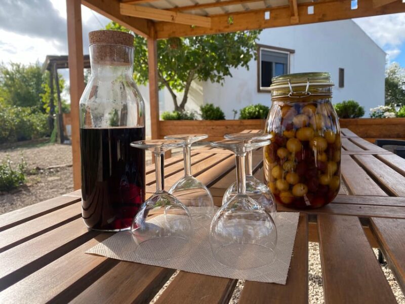 Walk through Hills With a Local Goat Herder and Their Goats - Key Points