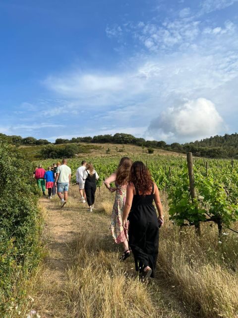 Walk through our vineyard and aperitif - Key Points