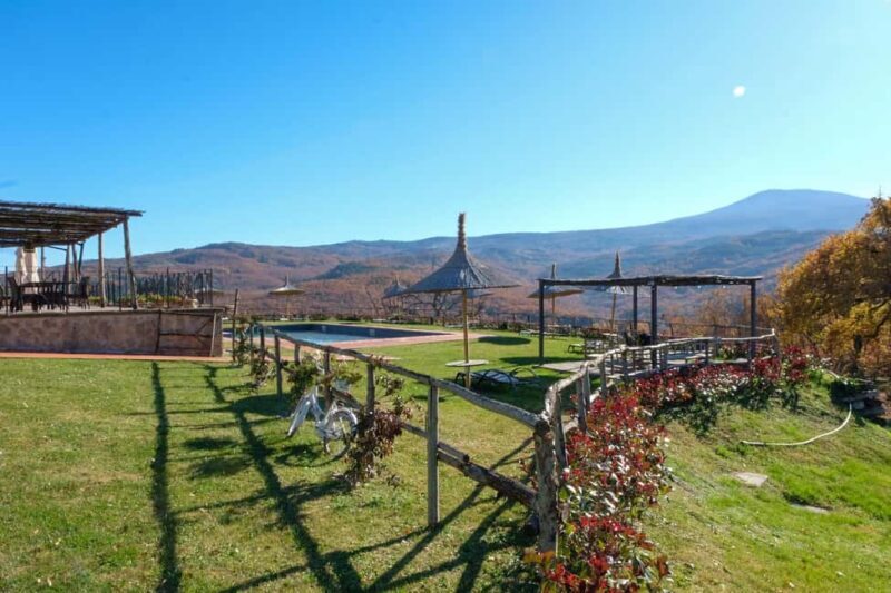 Walk through the vineyard with tasting - FAQs