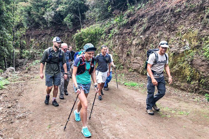 Walk with a local - The Sum Up: Is This Tour Worth It?