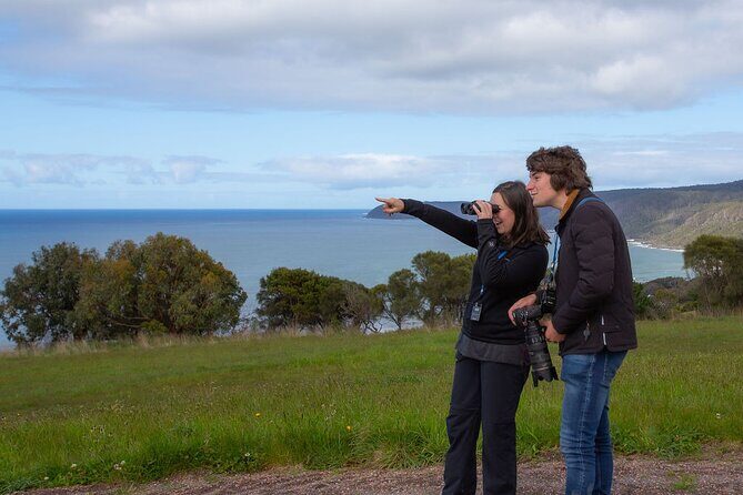 Walk with Wildlife: Guided Tour in Great Ocean Road - Key Points