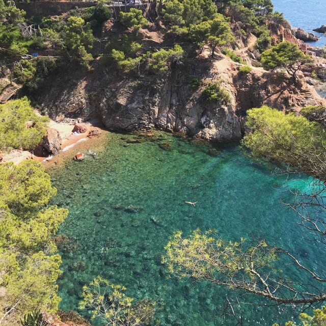 Walking Costa Brava Coves, Beaches & Famous Fishing Village - Who Would Love This Tour