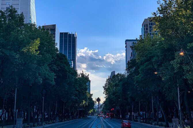 Walking Mexico City Tour with Anthropology Museum - Who Should Consider This Tour?