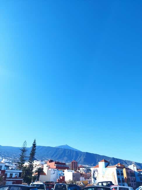 Walking route Icod de los Vinos 1:30h - The Experience from Reviews