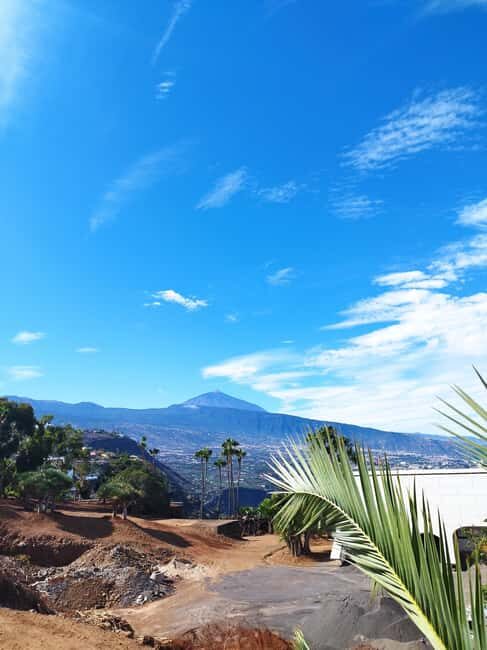 Walking route Icod de los Vinos 1:30h - Who Should Consider This Tour?