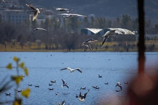 Walking Tour Historic Jewels in Tirana - Who Should Consider This Tour?