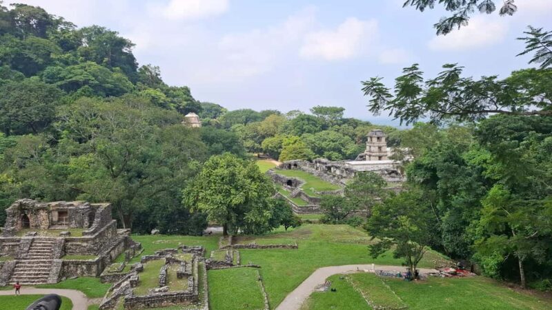 Walking tour in the archaeological site and jungle of Palenque - Key Points