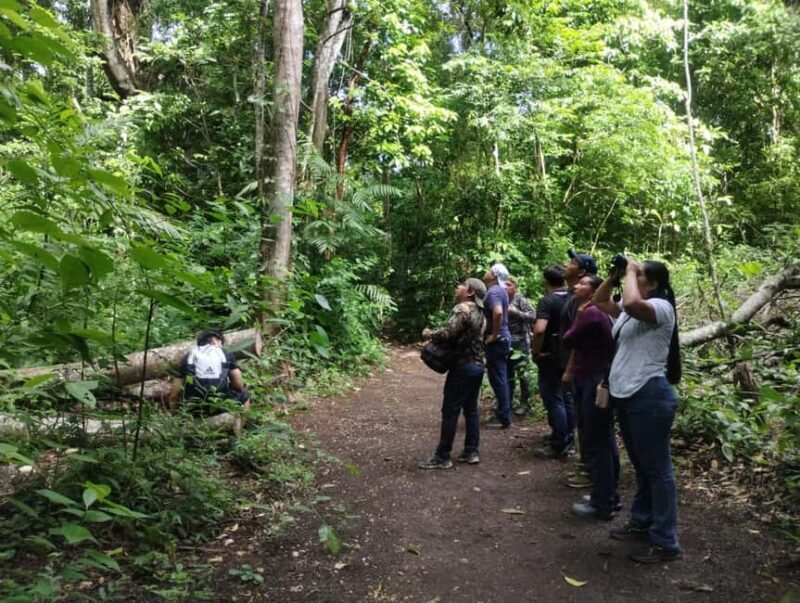 Walking tour in the archaeological site and jungle of Palenque - Whats Included and Whats Not