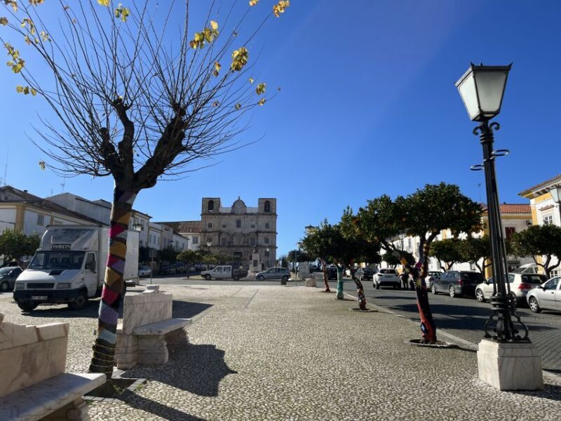 Walking Tour in Vila Viçosa - Who Should Consider This Tour?