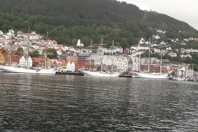 Walking tour: Medieval Spirit of Bergen + sweet Arctic gifts - Key Points