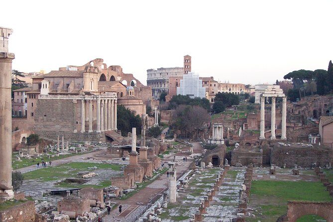 Walking Tour of the Colosseum, the Roman Forum and Palatine Hill - Who Is This Tour Best For?