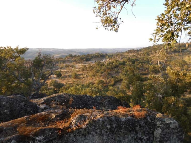 Walking Tour Quadrassal - Romeu - Frequently Asked Questions