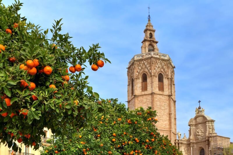 Walking Tour through Valencia's Historic Centre - Discovering the Heart of Valencia