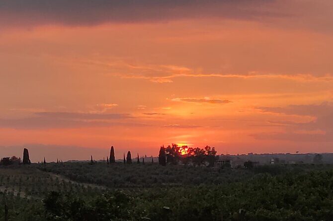 Walking tour Vendicari Nature Reserve, Tonnara and Noto Barocco - FAQ