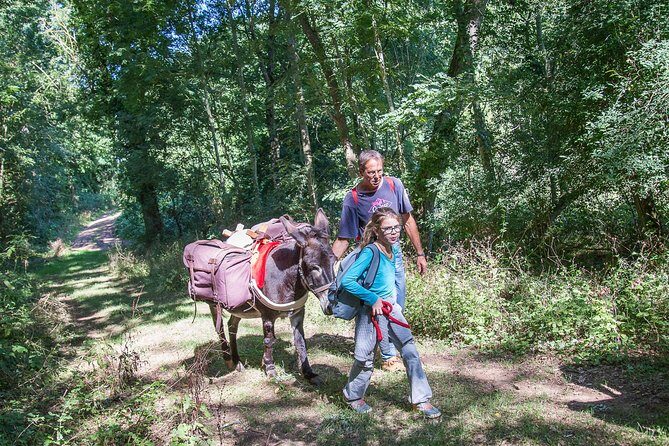 Walks and hikes with donkeys - Key Points