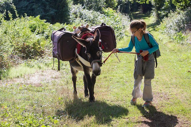 Walks and hikes with donkeys - Who Is This Tour Best For?