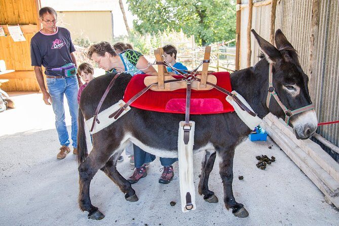 Walks and hikes with donkeys - FAQ