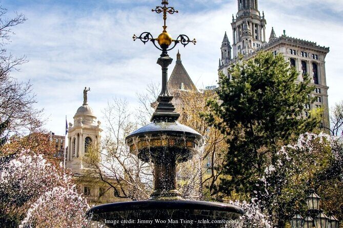 Wall Street & the Financial District: Private 2.5 hr Walking Tour - Practical Details and Logistics