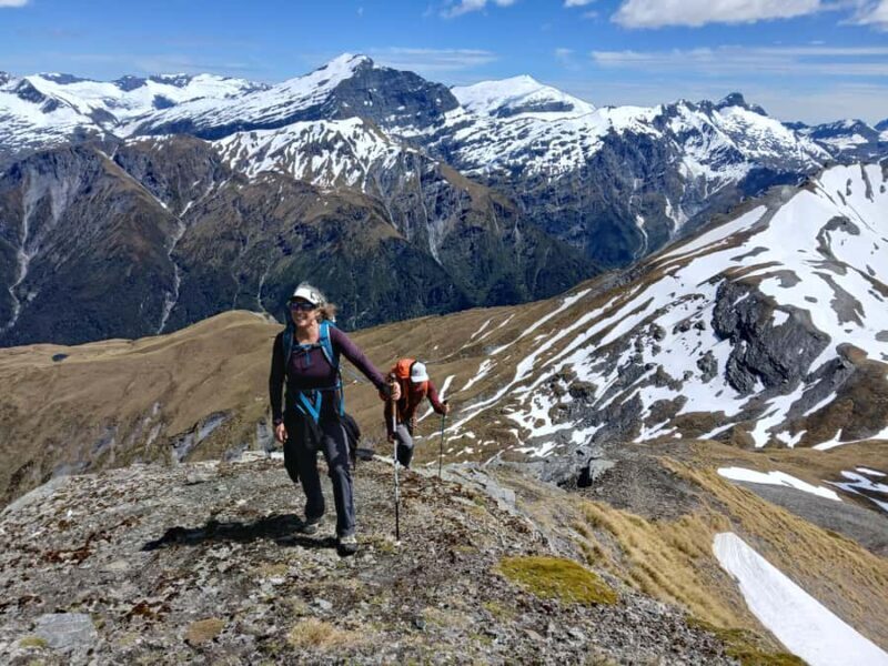 Wanaka: Private Alpine Heli-Hike - Key Points