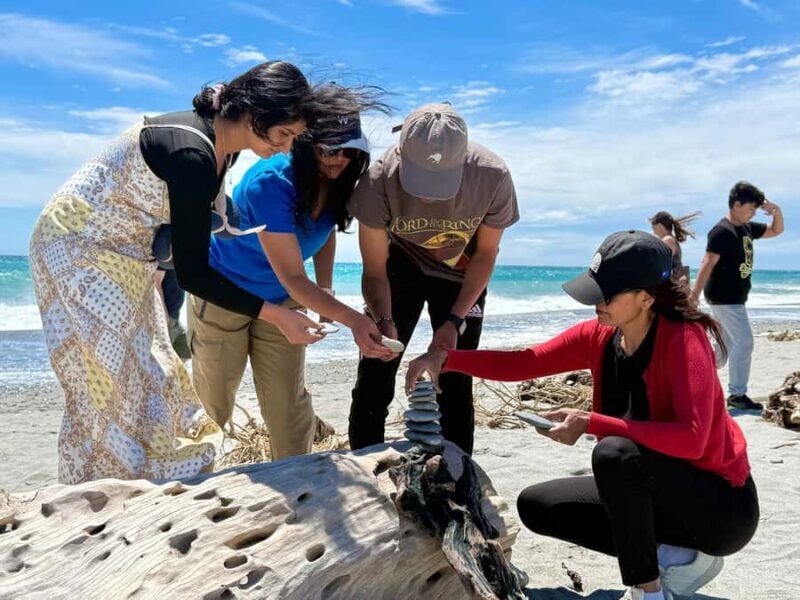 Wanaka to Franz Josef Small Group 1 Way Tour with Lunch - Considerations and Who It’s Best For